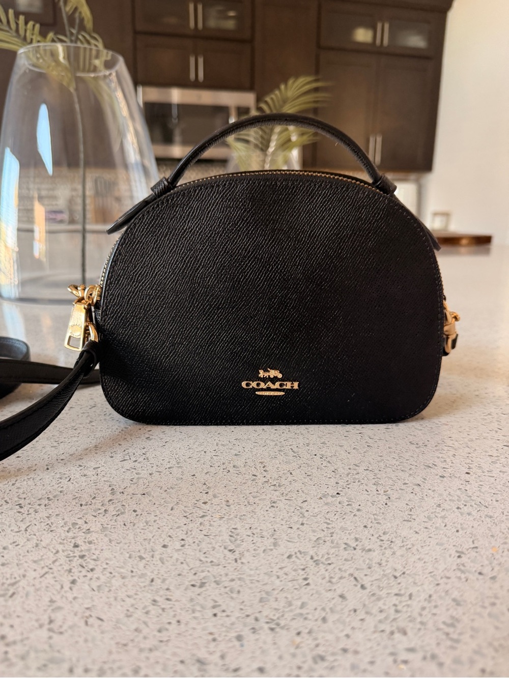 Coach Black Mini Dome Crossbody with Gold Hardware